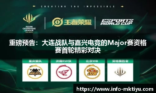 mk体育